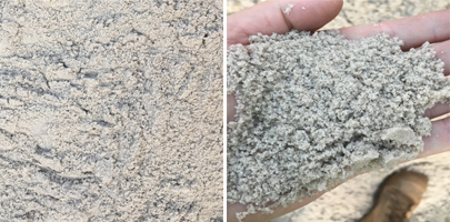 Washed Sand